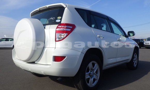 Buy Used Toyota RAV4 White Car in Port Moresby in National Capital District Buy Used Toyota RAV4 White Car in Port Moresby in National Capital District