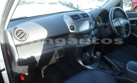 Buy Used Toyota RAV4 White Car in Port Moresby in National Capital District Buy Used Toyota RAV4 White Car in Port Moresby in National Capital District