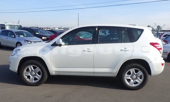 Buy Used Toyota RAV4 White Car in Port Moresby in National Capital District Buy Used Toyota RAV4 White Car in Port Moresby in National Capital District