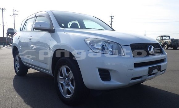 Buy Used Toyota RAV4 White Car in Port Moresby in National Capital District Buy Used Toyota RAV4 White Car in Port Moresby in National Capital District