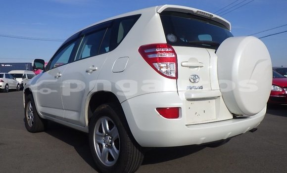 Buy Used Toyota RAV4 White Car in Port Moresby in National Capital District Buy Used Toyota RAV4 White Car in Port Moresby in National Capital District