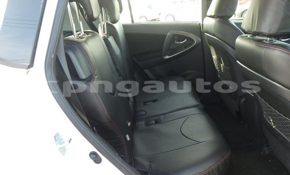 Buy Used Toyota RAV4 White Car in Port Moresby in National Capital District Buy Used Toyota RAV4 White Car in Port Moresby in National Capital District