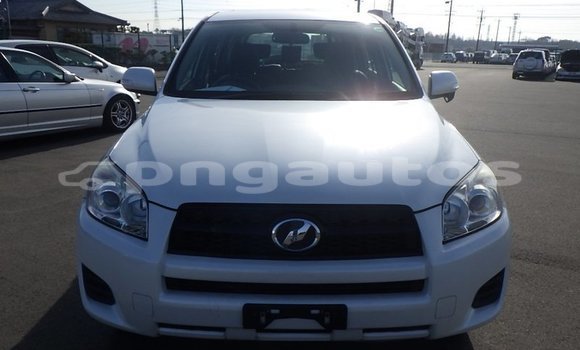 Buy Used Toyota RAV4 White Car in Port Moresby in National Capital District Buy Used Toyota RAV4 White Car in Port Moresby in National Capital District