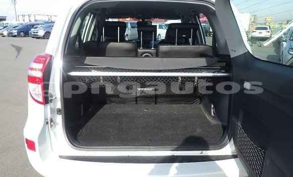 Buy Used Toyota RAV4 White Car in Port Moresby in National Capital District Buy Used Toyota RAV4 White Car in Port Moresby in National Capital District