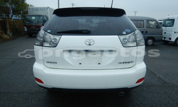 Buy Used Toyota Harrier White Car in Lae in Morobe Buy Used Toyota Harrier White Car in Lae in Morobe