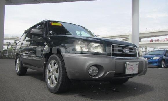 Buy Used Subaru Forester Other Car in Madang in Madang