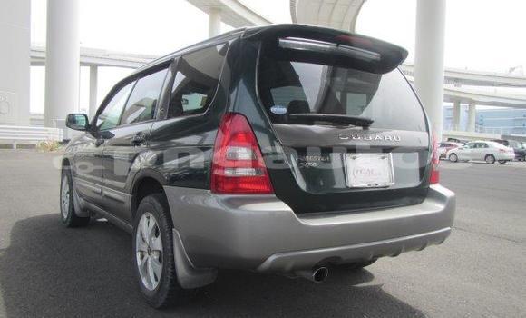 Buy Used Subaru Forester Other Car in Madang in Madang Buy Used Subaru Forester Other Car in Madang in Madang