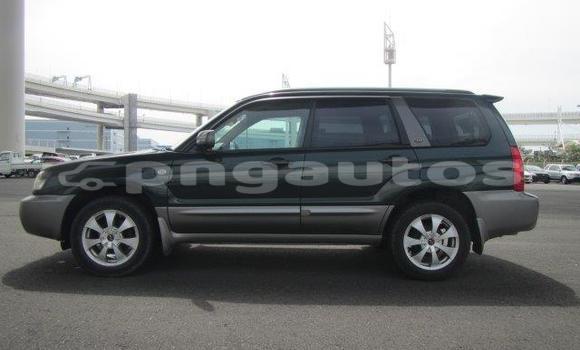 Buy Used Subaru Forester Other Car in Madang in Madang Buy Used Subaru Forester Other Car in Madang in Madang