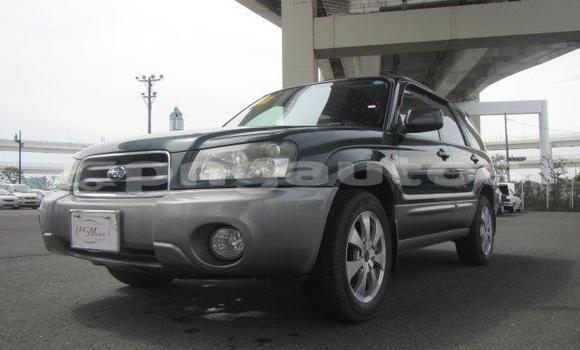 Buy Used Subaru Forester Other Car in Madang in Madang Buy Used Subaru Forester Other Car in Madang in Madang