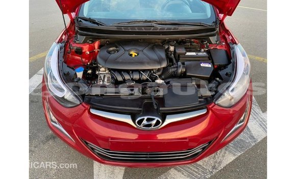 Buy Import Hyundai Elantra Red Car in Import - Dubai in Enga Buy Import Hyundai Elantra Red Car in Import - Dubai in Enga