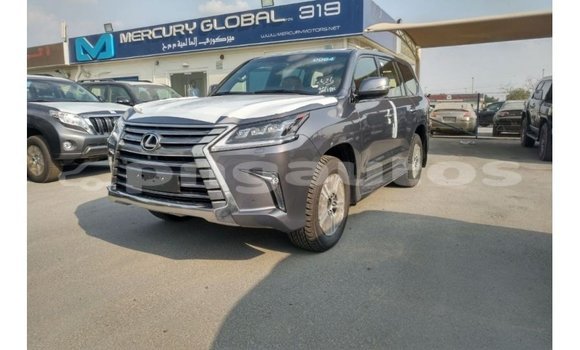 Buy Import Lexus LX Other Car in Import - Dubai in Enga Buy Import Lexus LX Other Car in Import - Dubai in Enga