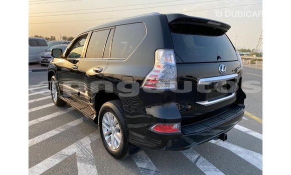Buy Import Lexus GX Black Car in Import - Dubai in Enga Buy Import Lexus GX Black Car in Import - Dubai in Enga