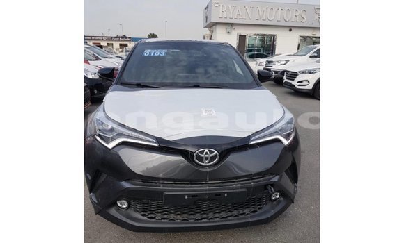 Buy Import Toyota C-HR Other Car in Import - Dubai in Enga Buy Import Toyota C-HR Other Car in Import - Dubai in Enga