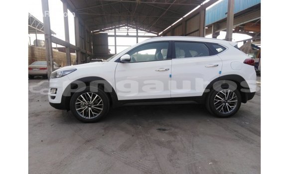 Acheter Import Voiture Hyundai Tucson Blanc à Import - Dubai, Enga Acheter Import Voiture Hyundai Tucson Blanc à Import - Dubai, Enga