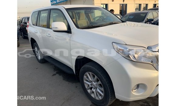 Buy Import Toyota Prado White Car in Import - Dubai in Enga Buy Import Toyota Prado White Car in Import - Dubai in Enga
