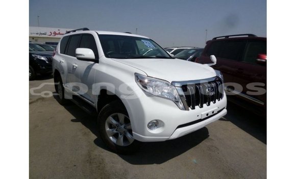 Buy Import Toyota Prado White Car in Import - Dubai in Enga Buy Import Toyota Prado White Car in Import - Dubai in Enga