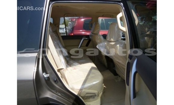 Buy Import Toyota Prado Brown Car in Import - Dubai in Enga Buy Import Toyota Prado Brown Car in Import - Dubai in Enga