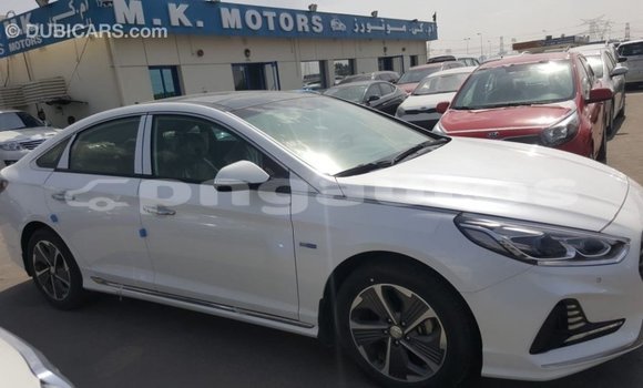 Buy Import Hyundai Sonata White Car in Import - Dubai in Enga Buy Import Hyundai Sonata White Car in Import - Dubai in Enga