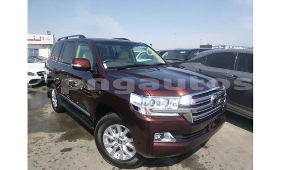 Buy Import Toyota Land Cruiser Brown Car in Import - Dubai in Enga Buy Import Toyota Land Cruiser Brown Car in Import - Dubai in Enga