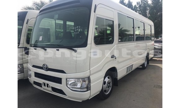 Buy Import Toyota Coaster White Car in Import - Dubai in Enga Buy Import Toyota Coaster White Car in Import - Dubai in Enga