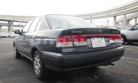 Buy Used Nissan Sunny Other Car in Bulolo in Morobe Buy Used Nissan Sunny Other Car in Bulolo in Morobe