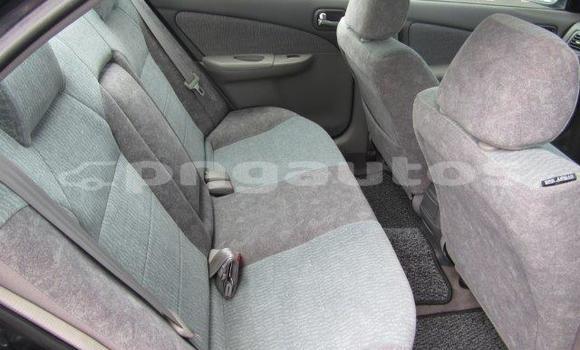 Buy Used Nissan Sunny Other Car in Bulolo in Morobe Buy Used Nissan Sunny Other Car in Bulolo in Morobe