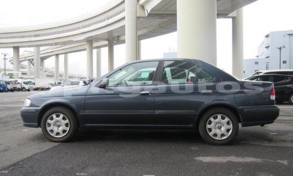 Buy Used Nissan Sunny Other Car in Bulolo in Morobe Buy Used Nissan Sunny Other Car in Bulolo in Morobe