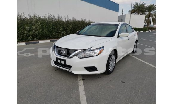 Buy Import Nissan Altima White Car in Import - Dubai in Enga Buy Import Nissan Altima White Car in Import - Dubai in Enga