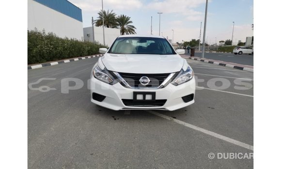 Buy Import Nissan Altima White Car in Import - Dubai in Enga Buy Import Nissan Altima White Car in Import - Dubai in Enga