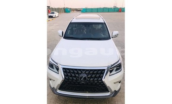 Buy Import Lexus GX White Car in Import - Dubai in Enga Buy Import Lexus GX White Car in Import - Dubai in Enga