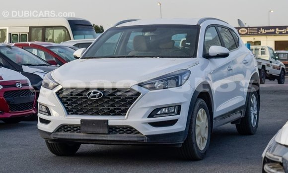 Acheter Import Voiture Hyundai Tucson Blanc à Import - Dubai, Enga Acheter Import Voiture Hyundai Tucson Blanc à Import - Dubai, Enga