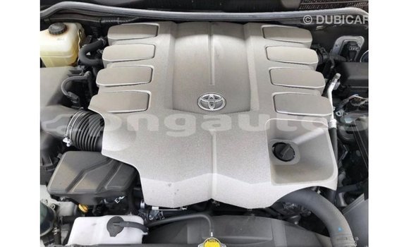 Buy Import Toyota Land Cruiser White Car in Import - Dubai in Enga Buy Import Toyota Land Cruiser White Car in Import - Dubai in Enga