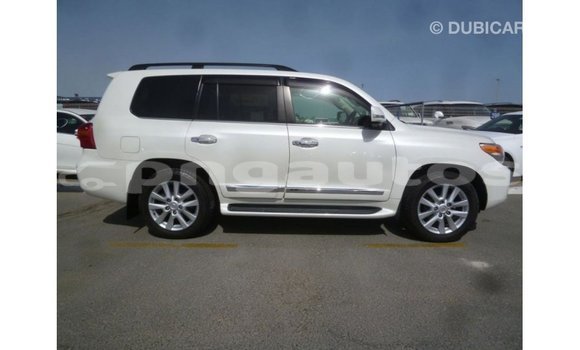 Buy Import Toyota Land Cruiser White Car in Import - Dubai in Enga Buy Import Toyota Land Cruiser White Car in Import - Dubai in Enga