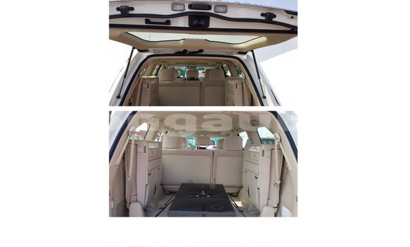Buy Import Toyota Land Cruiser White Car in Import - Dubai in Enga Buy Import Toyota Land Cruiser White Car in Import - Dubai in Enga