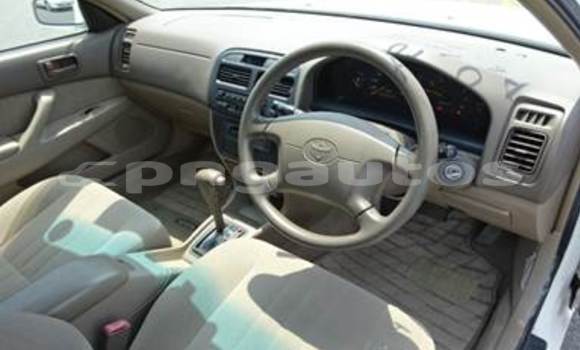 Buy Used Toyota Camry Other Car in Bulolo in Morobe Buy Used Toyota Camry Other Car in Bulolo in Morobe