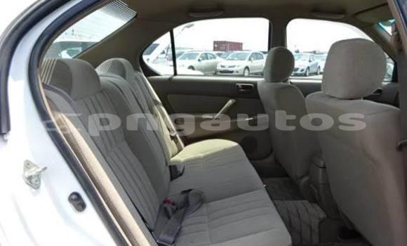 Buy Used Toyota Camry Other Car in Kundiawa in Simbu Buy Used Toyota Camry Other Car in Kundiawa in Simbu