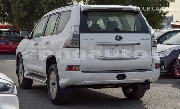 Buy Import Lexus GX White Car in Import - Dubai in Enga Buy Import Lexus GX White Car in Import - Dubai in Enga