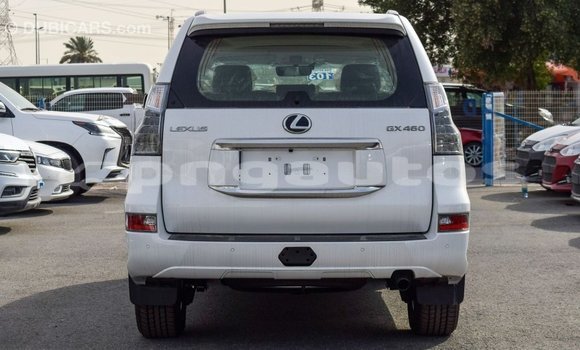 Buy Import Lexus GX White Car in Import - Dubai in Enga Buy Import Lexus GX White Car in Import - Dubai in Enga