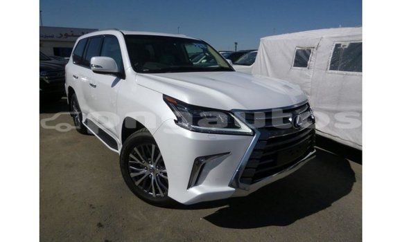 Buy Import Lexus LX White Car in Import - Dubai in Enga Buy Import Lexus LX White Car in Import - Dubai in Enga