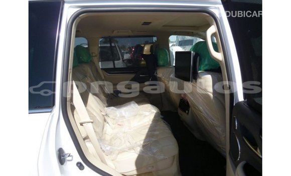 Buy Import Lexus LX White Car in Import - Dubai in Enga Buy Import Lexus LX White Car in Import - Dubai in Enga