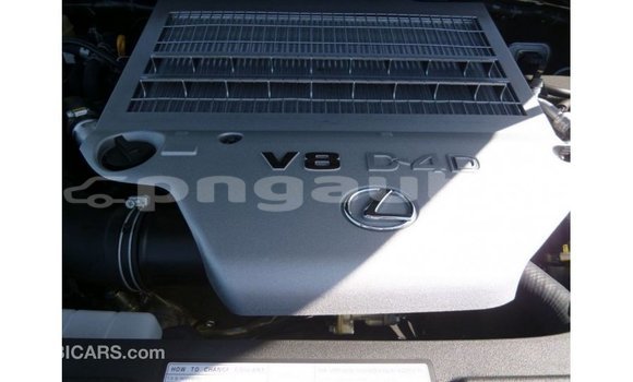 Buy Import Lexus LX White Car in Import - Dubai in Enga Buy Import Lexus LX White Car in Import - Dubai in Enga