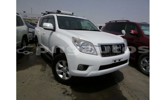 Buy Import Toyota Prado White Car in Import - Dubai in Enga Buy Import Toyota Prado White Car in Import - Dubai in Enga