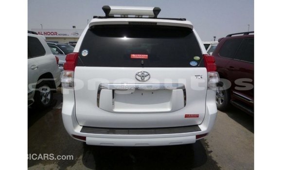 Buy Import Toyota Prado White Car in Import - Dubai in Enga Buy Import Toyota Prado White Car in Import - Dubai in Enga