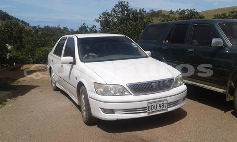 Big with watermark post id 3877 nabw9