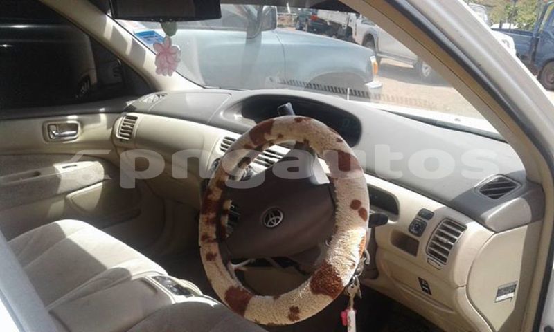 Big with watermark post id 3877 y4f54