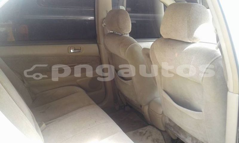 Big with watermark post id 3877 bvg9w