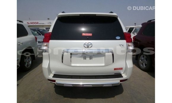 Buy Import Toyota Prado White Car in Import - Dubai in Enga Buy Import Toyota Prado White Car in Import - Dubai in Enga