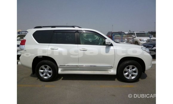 Buy Import Toyota Prado White Car in Import - Dubai in Enga Buy Import Toyota Prado White Car in Import - Dubai in Enga