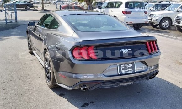 Buy Import Ford Mustang Other Car in Import - Dubai in Enga Buy Import Ford Mustang Other Car in Import - Dubai in Enga