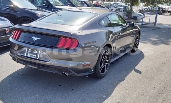 Buy Import Ford Mustang Other Car in Import - Dubai in Enga Buy Import Ford Mustang Other Car in Import - Dubai in Enga